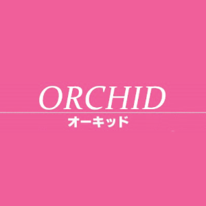 [プロンポン]Orchid (オーキッド)